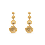 Shell Dangler Earrings