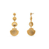 Shell Dangler Earrings