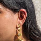 Shell Dangler Earrings